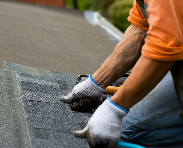 Best Shingle Roofing Installation  in Wakefield, MI