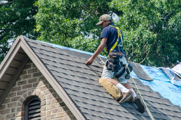 Best Roof Gutter Cleaning  in Wakefield, MI